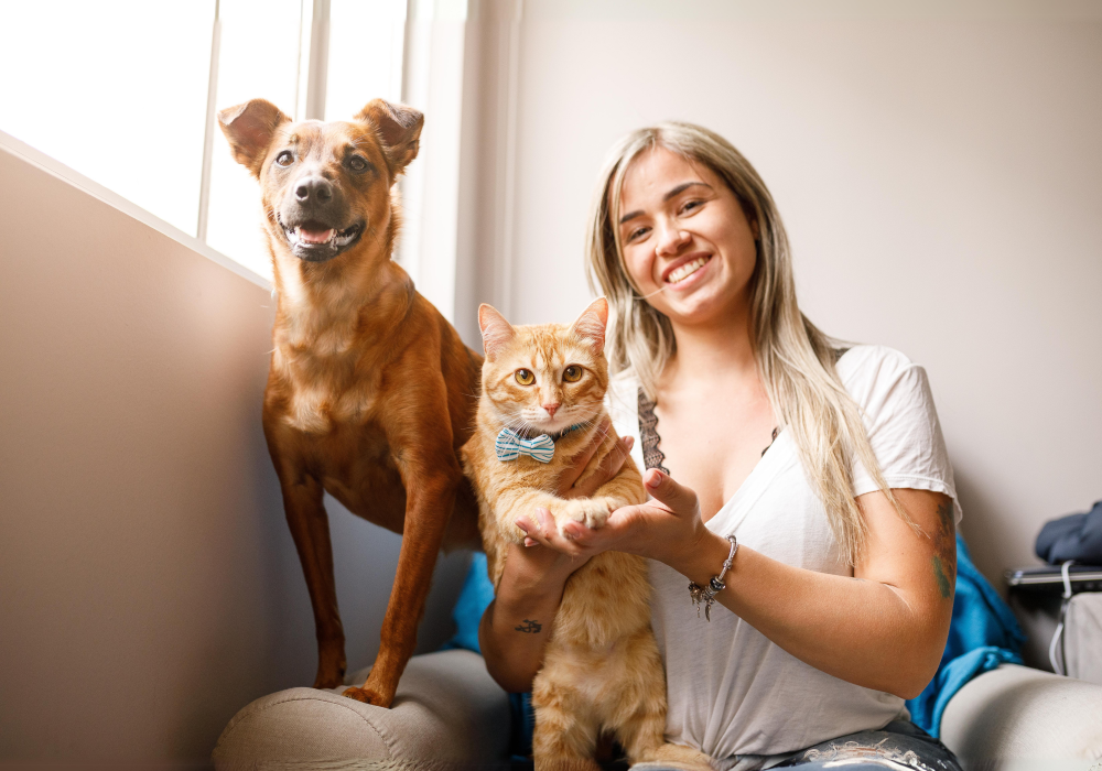 3677 : le numéro pour signaler la maltraitance animale